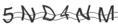 raptcha.png