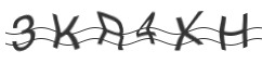 raptcha.png